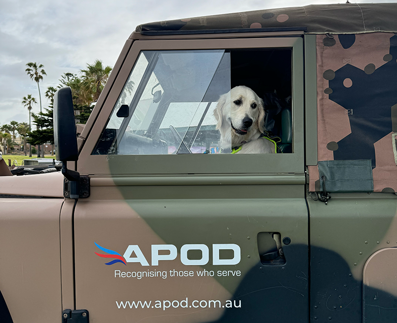 APOD-Volunteering-Opportunities9